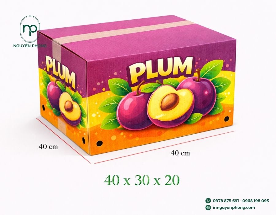 mẫu-thùng-carton-đựng-mận/roi